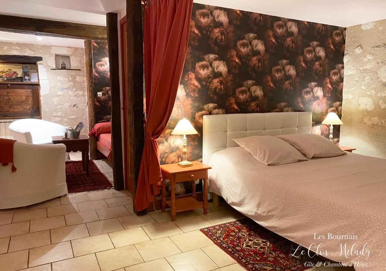 Chambres D'Hotes Les Bournais - Le Clos Milady L'Ile-Bouchard 외부 사진
