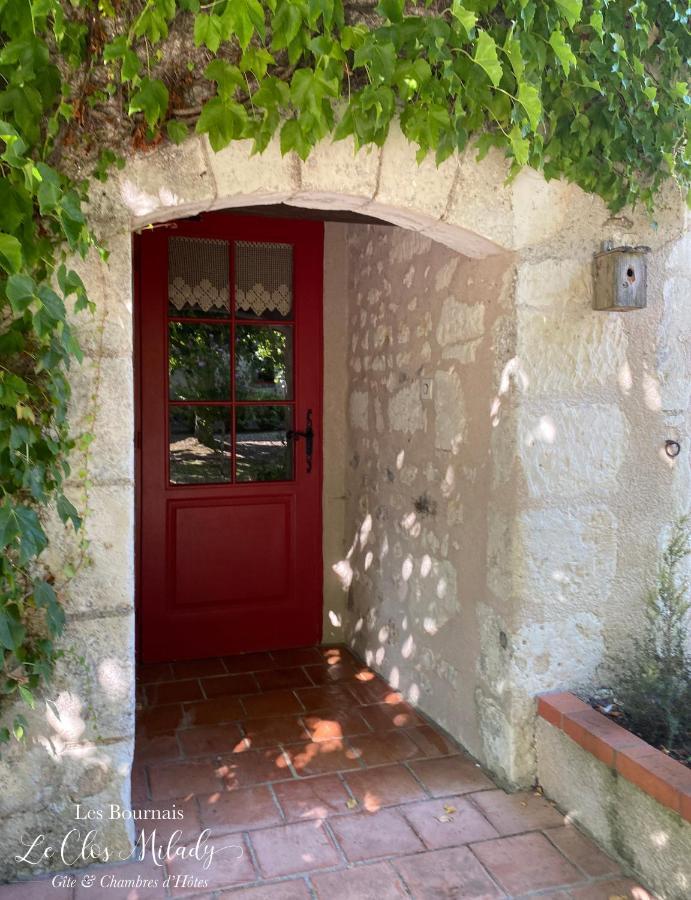 Chambres D'Hotes Les Bournais - Le Clos Milady L'Ile-Bouchard 외부 사진