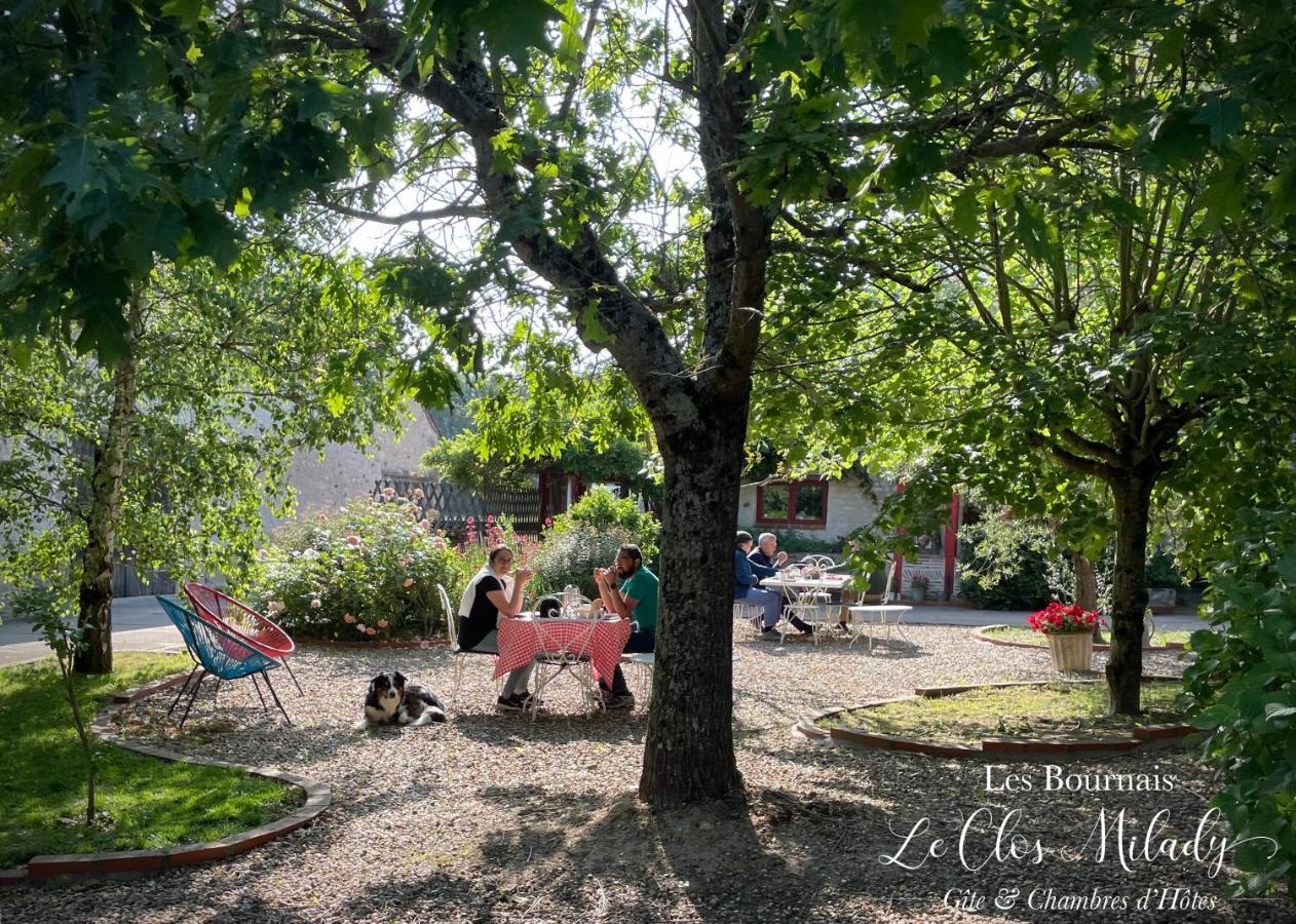 Chambres D'Hotes Les Bournais - Le Clos Milady L'Ile-Bouchard 외부 사진