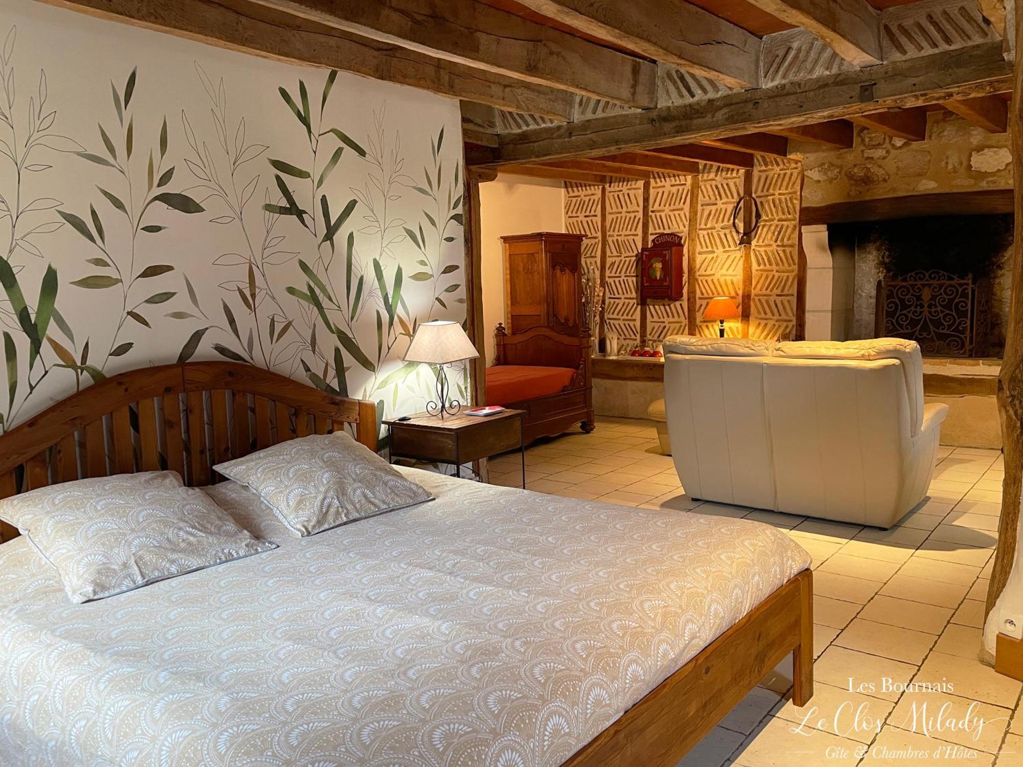 Chambres D'Hotes Les Bournais - Le Clos Milady L'Ile-Bouchard 외부 사진